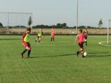 Training Schouwen-Duiveland Selectie Onder 13 & 14 op sportpark 'Het Springer' van maandag 5 juni 2023 (26/53)